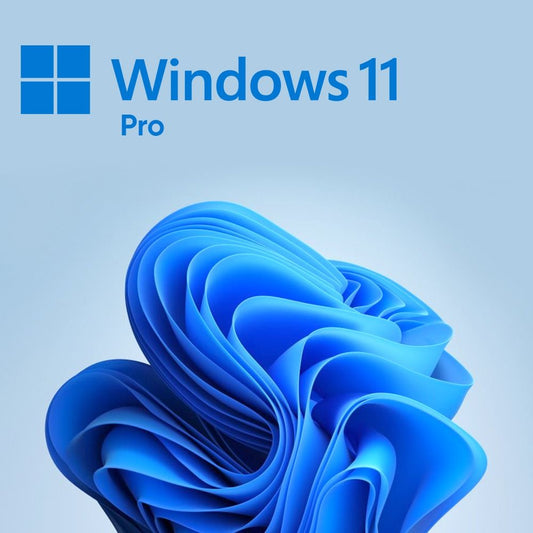 Microsoft Windows 11 Pro OEM